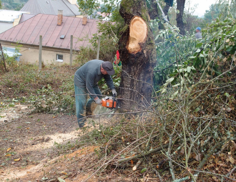 Brigáda - farská záhrada 2015