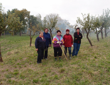 Brigáda - farská záhrada 2015